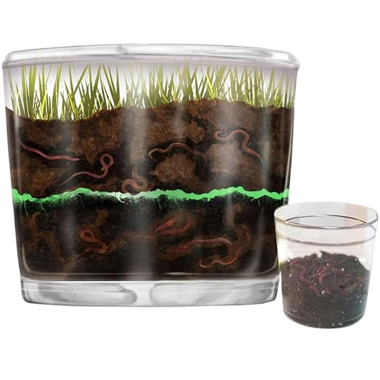 Worm Farm for Kids Shipped with Live Worms - Observation Kit with Ecosystem, Soil Mixing Sand, Magnifying Glass & More from Nature Gift Store