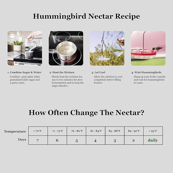 Hummingbird Feeders for Outdoors Hanging (2 Pack), 25 Feeding Ports 10 oz Plastic Hummingbird Feeder, Bee-Proof Leak-Proof No Drip, Easy to Clean with Cleaning Brushes