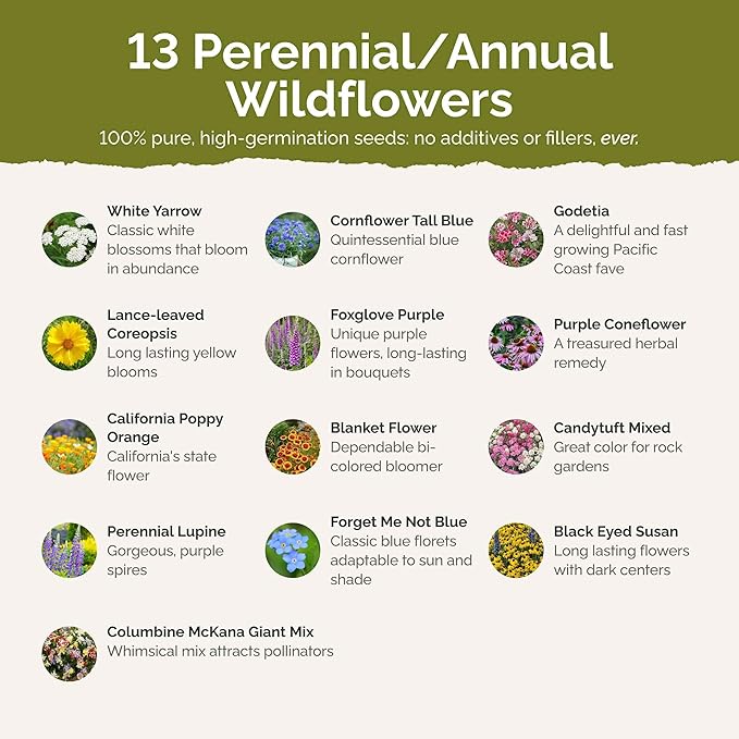 Eden Brothers Deer Resistant Wildflower Mixed Seeds for Planting, 1/4 lb, 120,000+ Seeds with Foxglove, Forget Me Not | Attracts Pollinators, Plant in Spring or Fall, Zones 3, 4, 5, 6, 7, 8, 9, 10
