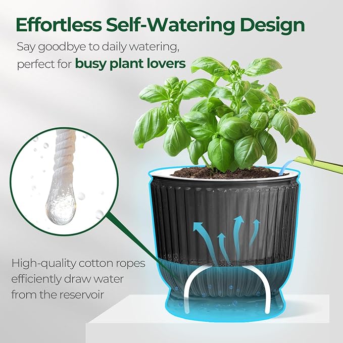 T4U 6 Inch Self Watering Pots for Indoor Plants, 4 Pack Self Watering Planter, Self Watering Pot with Reservoir, Small Self Watering Pots for Plants, African Violets (4 Pack, 6", Translucent Gray)