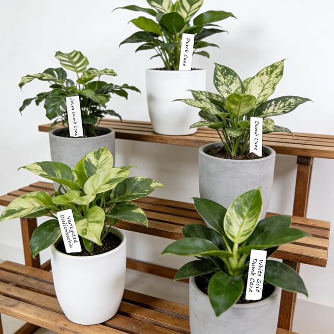 KINGLAKE Plant Labels,Plastic Plant Tags 4 Inch,200 Pcs Nursery Garden Labels Plants Markers for Outdoor Garden Waterproof,Plants Name Tags White with Marking Pen