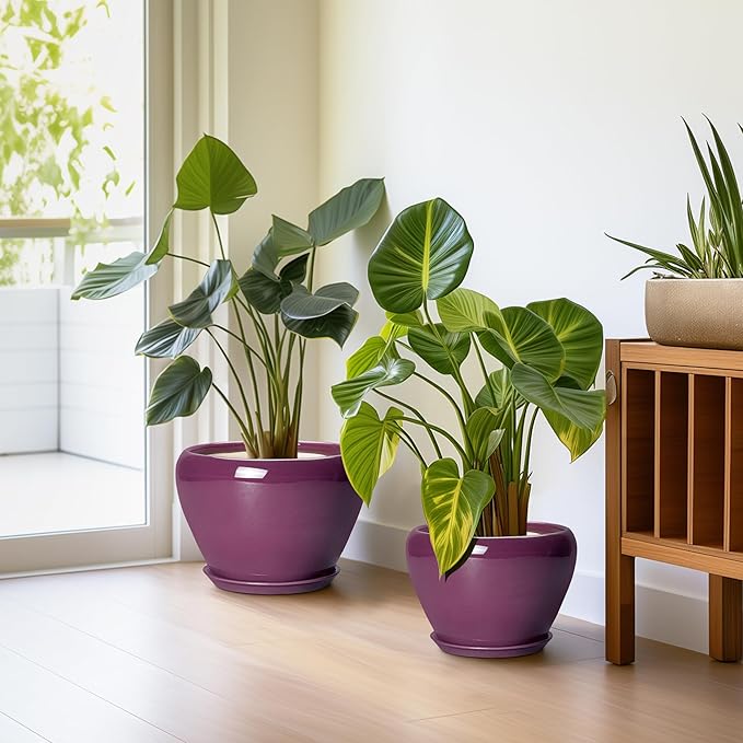 10+8+6 Inch Ceramic Plant Pots, Ceramic Planter for Indoor Outdoor Plants, Round Planter with Drainage Holes and Saucers, Indoor Flower Pots, Room Decor, Housewarming Gift, Set of 3, Purple