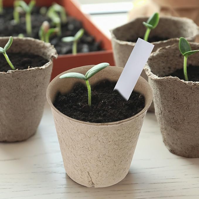 Homoyoyo Seed Starter Peat Pots, 50 Pcs Biodegradable Breed Pots with Plant Labels and Mini Garden Tools, Seed Starting with Drainage Holes for Seedlings, Herbs, Vegetables, Nursery Garden 3.1 Inch