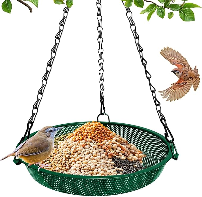 Platform Hanging Bird Feeder for Outdoors – Metal Mesh Seed Tray to Attract Wild Birds, Round 9 in, Green