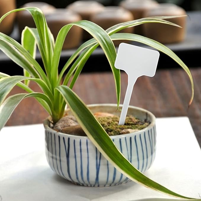 KINGLAKE GARDEN Large Plastic Plant Labels 6 Inch 50 Pack White Sturdy Extra Large T-Style Plastic Plant Labels for Flower beds,Plant pots