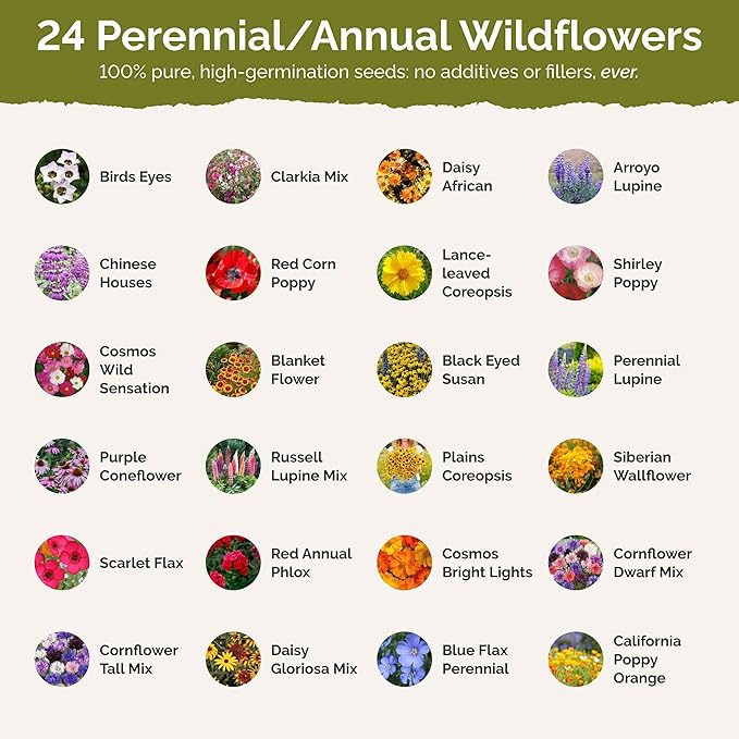 Eden Brothers Arkansas Wildflower Mixed Seeds for Planting, 1 oz, 30,000+ Seeds with African Daisy, Cosmos | Attracts Pollinators, Plant in Spring or Fall, Zones