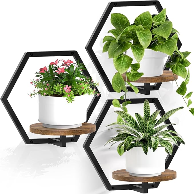 3 Packs Wall Planters for Indoor Plants, 7.9inch Metal Plant Holder Hanger Wall Decor, Mounted Hanging Window Shelves Outdoor Rack (Black Wooden Base)