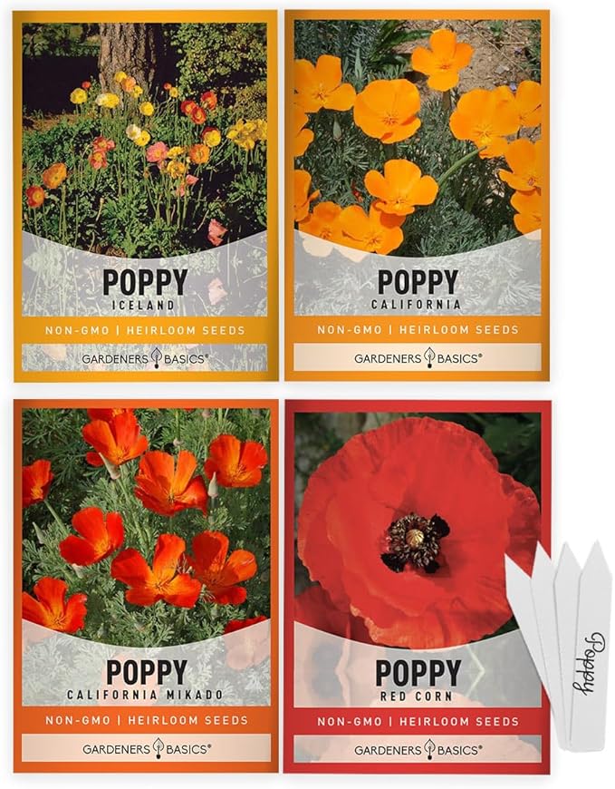Gardeners Basics Poppy Seeds for Planting Outdoors Flower Seeds (Variety Pack of 4) Poppies Iceland, California, California Mikado and Red Corn Varieties for Bees, Pollinators Wildflower Seed