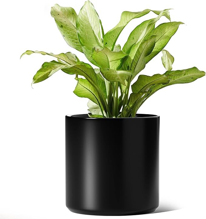LE TAUCI 12 Inch Pot for Plants, Ceramic Planters for Indoor Plants, Mid-Century Modern Cylinder Flower Pots with Drainage Hole, Fits Fiddle Leaf Fig & Monstera, Home Decor, Black