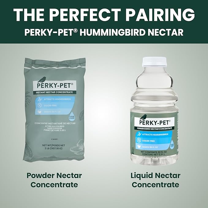 Perky-Pet 203CPBN-2 Glass Hummingbird Feeders for Outdoors with Perches,Ant Moat,Bee Guards -,2 Count (Pack of 2)