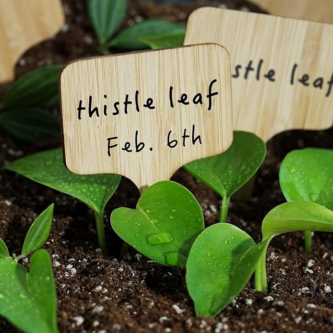 OBTANIM 75 Pack Bamboo Cloud Plant Labels with A Marker Pen, Garden Markers Sign Plant Tags for Seedling Potted Herbs Flowers Vegetables