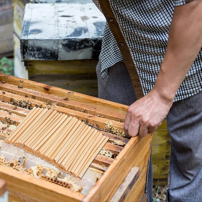 Mason Bee House Reed Nest Tubes Refill: 200PCS Mason Bee Nesting Reed Tubes Inserts Replacement Liners Hotel Box for Outdoor Beekeepers Solitary Bee Hive Supplies