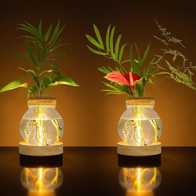 Plant Propagation Station with Wooden Saucer, Glass Terrarium with Stepless Dimming Function Hydroponic Glass Container Vase Jars Gardening Gifts for Mom Women Plant Lovers(2 Pack)