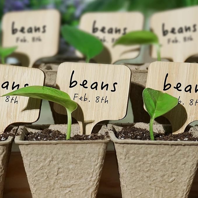OBTANIM 75 Pack Bamboo Oval Plant Labels with A Marker Pen, Garden Markers Sign Plant Tags for Seedling Potted Herbs Flowers Vegetables