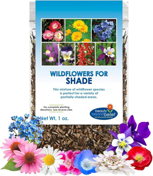 BBB Seed Partial Shade Wildflower Seeds - 1 oz Packet, Open-Pollinated Wildflower Seed Mix, No Fillers, Annual, Perennial Wildflower Seeds for Planting Year Round - 1 oz