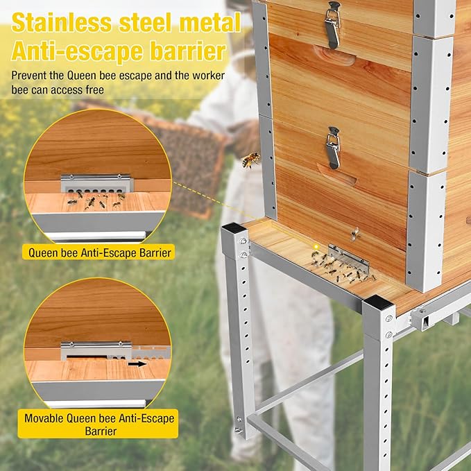 Aivituvin Bee Hive Bee Box 10 Frame Upgrade with All -Around Metal Frame Bee Castle Coated with 100% Beeswax Includes Waxed Foundations,2 Deep Boxes & 1 Medium Box