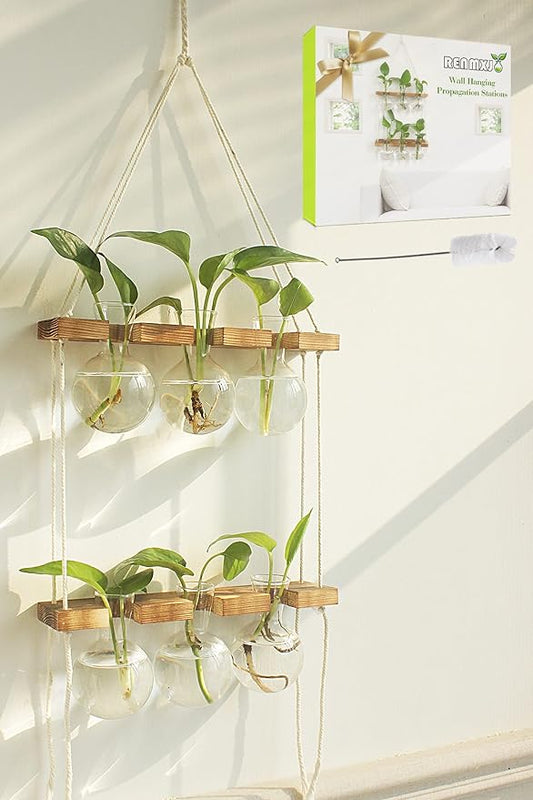 Plant Propagation Station Wall Hanging, Plant Terrarium with 2 Tiered Wooden Stand for Hydroponics Plants, Unique Gardening Gifts for Women Mom Plants Lovers - 6 Bulb Glass Vases