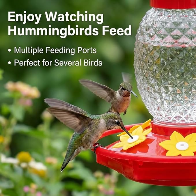 Glass Hummingbird Feeders for Outdoors Hanging Ant and Bee Proof 16OZ 2 Pack Clear Pineapple Humming Bird Feeder with 6 Feeding Ports and Ant Moat Hummingbird Gifts for Women Garden Decor