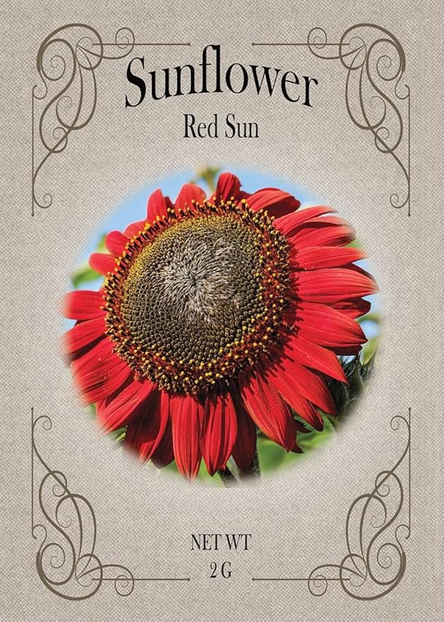 Set of Flower Seed Packets! Flower Seeds in Bulk - Great for Creating The Garden of Your Dreams! (50, Red Sun Sunflower)