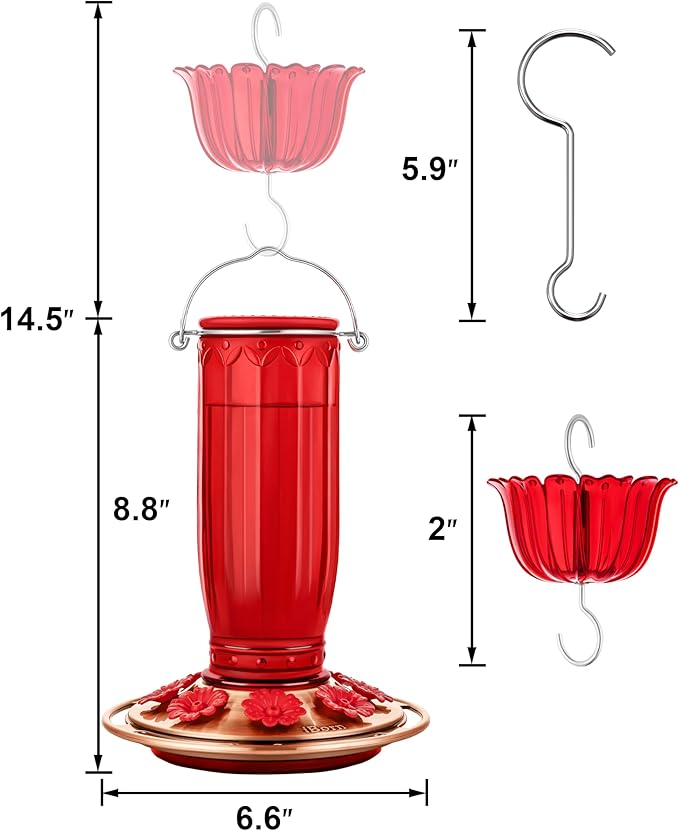 iBorn Glass Hummingbird Feeder for Outdoors Hanging Ant and Bee Proof Ant Moat for Hummingbird Feeder 8 Ports for 16oz Hummingbird Nectar,Brushed Copper Base Red Glass, Pack of 1, 2024 New