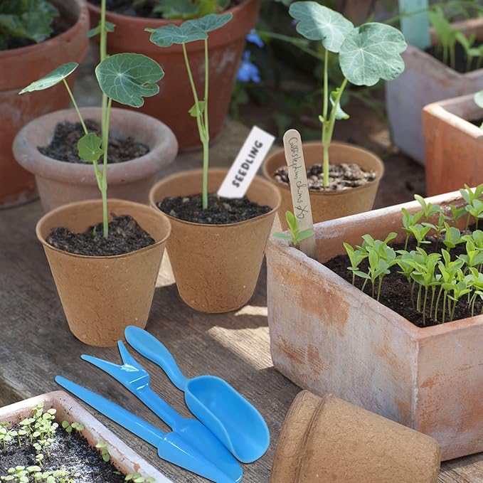3T GROUP 100 Pack 3.15 Inch Disposable Mini Pots for Plant,Small Compostable Planting Pots,Biodegradable Flower Pots for Vegetables,Fruit with 100 Labels,Tool (100pcs)
