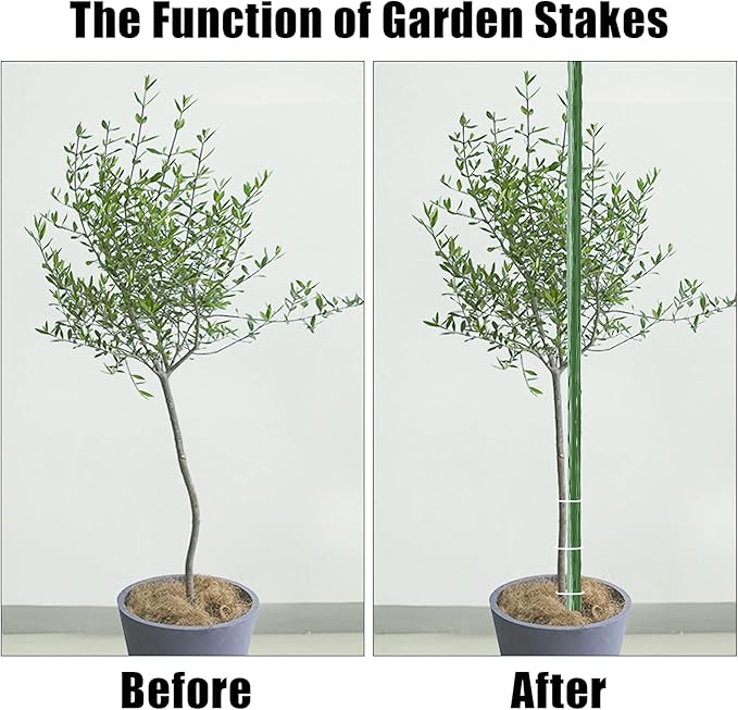 FEED GARDEN Garden Stakes 36 Inch 3ft 25 Pack, Sturdy Plant Metal Sticks Support, Plastic Coated Plant Stakes, Tomato Stakes, Beans, Trees