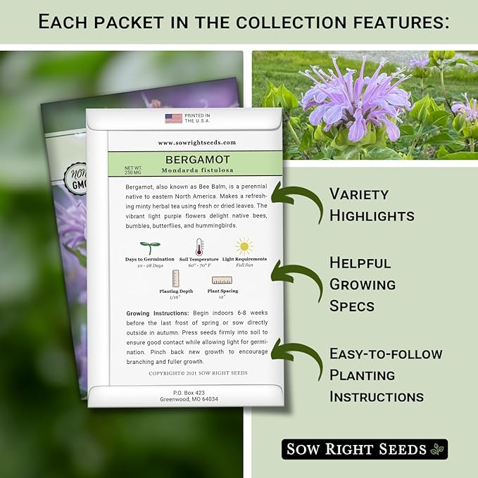 Sow Right Seeds - Bee Seed Collection for Planting - Bergamot, Gayfeather, Lavender and Lupine - Seed Kit for Pollinators - Non-GMO Heirloom with Instructions to Plant & Grow - Makes a Great Gift
