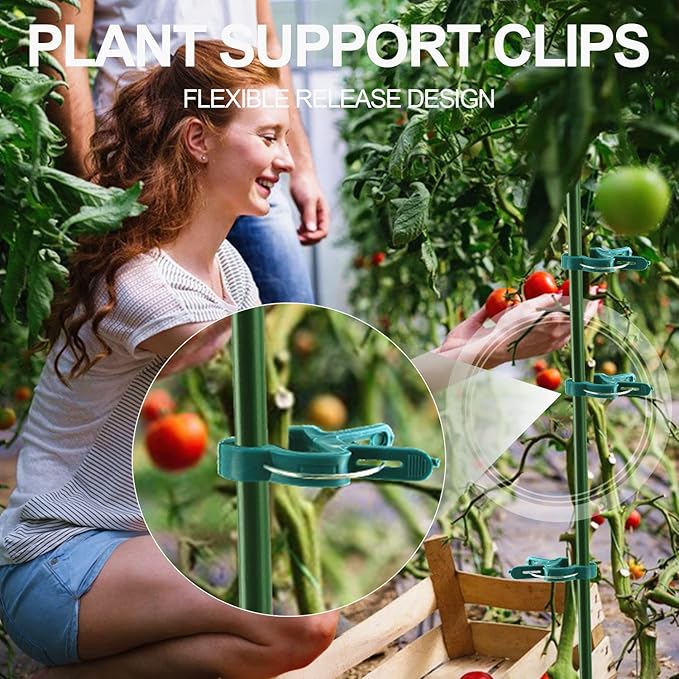 30 Pcs Large 1-3/4 inch Plant Support Clips,Flower and Vine,Garden Tomato Plant Support Clips for Supporting Stems,Vines Grow Upright Climbing,Tool for Straightening,Tomato Cage,Trellis.
