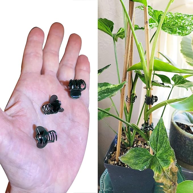 200 Pcs Plants Orchid Support Clips Plant Clips Orchid Clips Flower Vine Clips for Supporting Stems Vines Stalks Climbing Plant Grow Upright