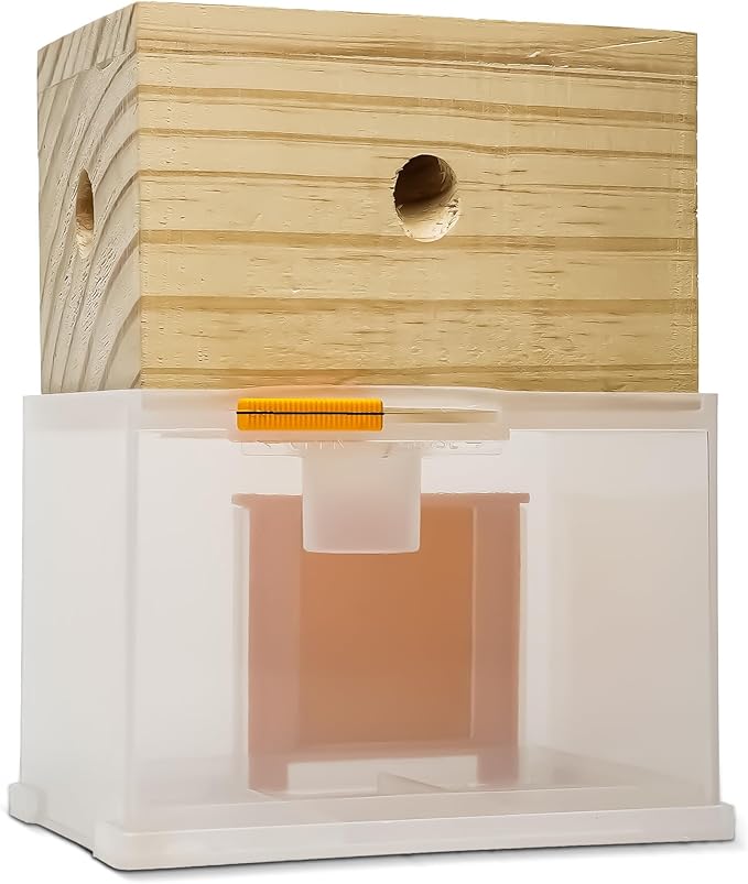 Carpenter Bee Trap - Wood Boring Bee Trap - Unique Catch & Release Outdoor Carpenter Bee Trap - Includes Hanging Hardware & 5 Bee Dams