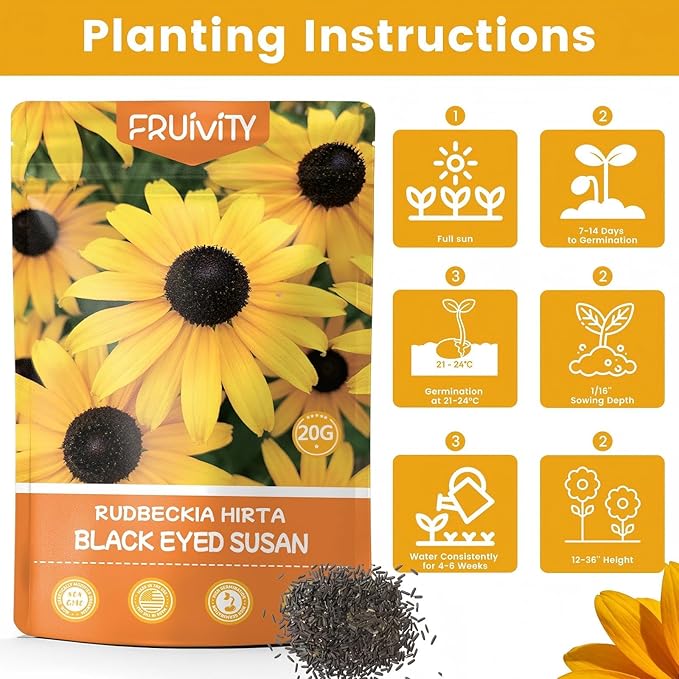 5000+ Black Eyed Susan Seeds for Planting, Perennial Wildflower Seeds for Pollinator Gardens, Non-GMO Heirloom Flower Seeds to Plant Outside & Inside, Borders, Containers, Rudbeckia hirta