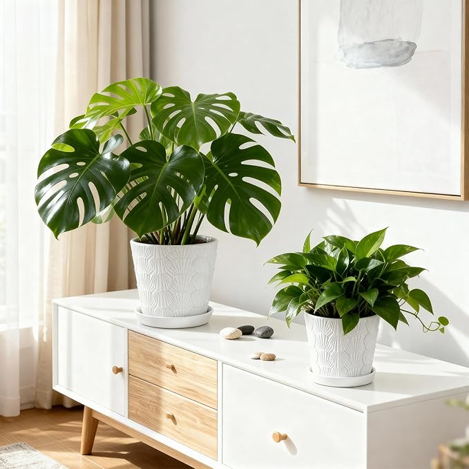 Ceramic Planter,5+6 Inch Ceramic Flower Pots with Drainage Hole&Tray,Embossed Seashell Design Plant pots,Planters for Indoor Plants Succulent Cactus,Flower Pot Home Decor-Set of 2,White