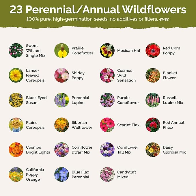 Eden Brothers Iowa Wildflower Mixed Seeds for Planting, 1 oz, 30,000+ Seeds with Cornflower, Candytuft | Attracts Pollinators, Plant in Spring or Fall, Zones
