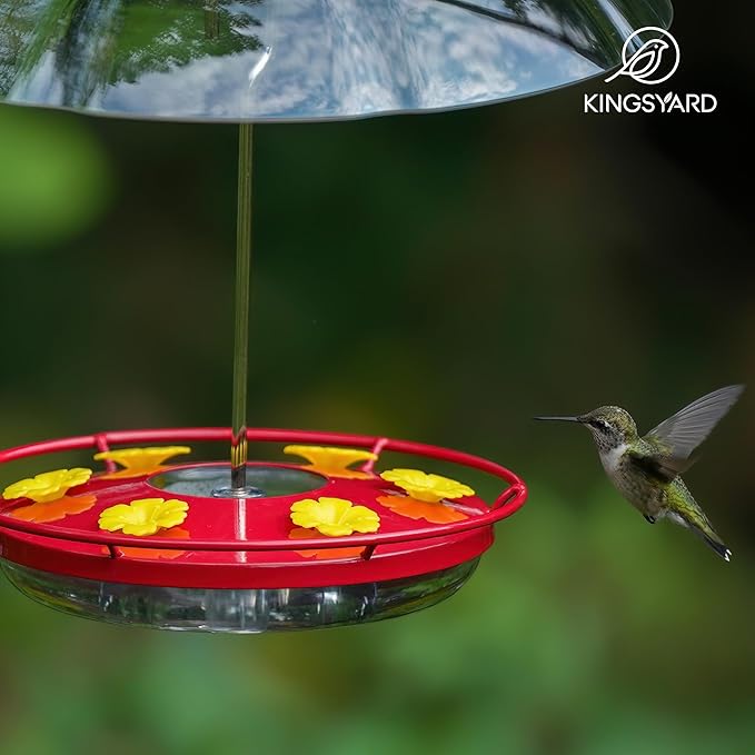 Kingsyard 12 oz Hummingbird Feeder with Rain Guard Dome, Leak-Proof Saucer Nectar Feeder for Outdoors Hanging, Built-in Ant Moat & 6 Bee-Proof Ports, Easy to Refill & Clean, Red