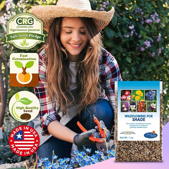 BBB Seed Partial Shade Wildflower Seeds - 1 oz Packet, Open-Pollinated Wildflower Seed Mix, No Fillers, Annual, Perennial Wildflower Seeds for Planting Year Round - 1 oz