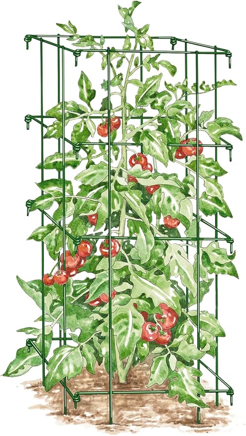 Gardener’s Supply Company Lifetime Tomato Cages | Heavy Gauge Sturdy Garden Plant Supports for Vegetables and Other Climbing Plants | No Assembly Needed - Green (Set of 4)