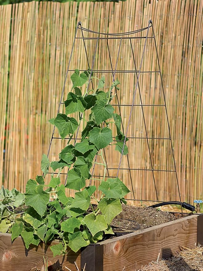 Gardeners Supply Company Wire A-Frame Trellis | Strong and Sturdy Metal Outdoor Garden Trellis Plant Support for Cucumbers, Squash, Vine Herbs & Other Climbing Plants