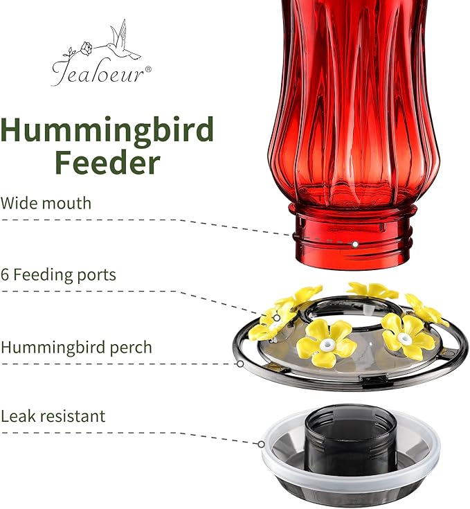 Hummingbird Feeders for Outdoors, Durable Hanging Humming Birds Feeders with 6 Bee Guard Feeding Ports & Built-in Ant Moat, Easy to Clean, Ideal for Garden Decor, 18 OZ, (1, Red)