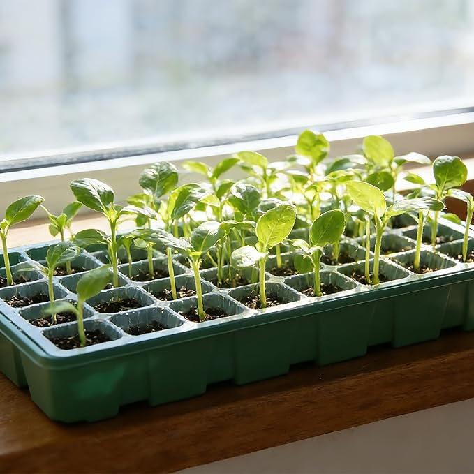 Seed Starter Tray Kit, 5-Pack with Humidity Domes & Base - 200 Cells Total (40 per Tray), Durable Mini Propagator Greenhouse for Optimal Seed Germination, Indoor Gardening, Plant Growing