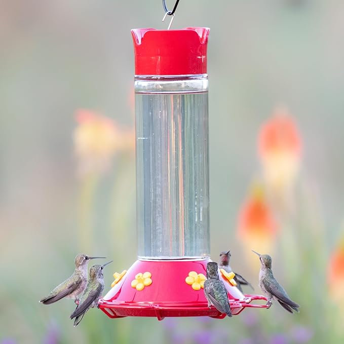 Perky-Pet 209B-1SR Glass Hummingbird Feeders for Outdoors Hanging - 30 fl oz Nectar Capacity - Ant & Bee Guarded Red Bird Feeder