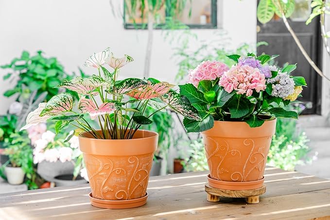 Melphoe Plant Pots Indoor with Drainage & Saucer, 2Pack 10 inch Flower Pots Outdoor Planters for Indoor Plants Garden Home Decor Cactus Succulent, Rigid Plastic (Imitation-Terracotta) Vine-Embossed