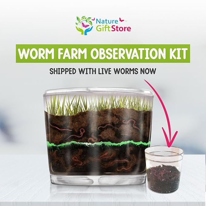 Worm Farm for Kids Shipped with Live Worms - Observation Kit with Ecosystem, Soil Mixing Sand, Magnifying Glass & More from Nature Gift Store
