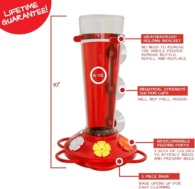 Window Hummingbird Feeders for Outdoors Including 3 Colors of Interchangeable Flowers for Hummingbirds Food and Nectar (2 Pack)