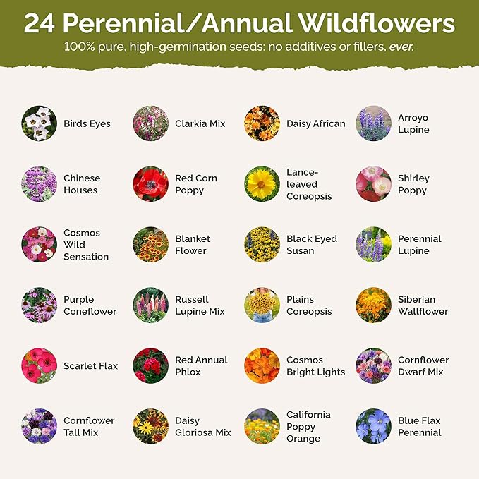 Eden Brothers Southwest Wildflower Mixed Seeds for Planting, 10 lb, 4,800,000+ Seeds with Cornflower, Blanket Flower | Attracts Pollinators, Plant in Spring or Fall, Zones 3, 4, 5, 6, 7, 8, 9, 10