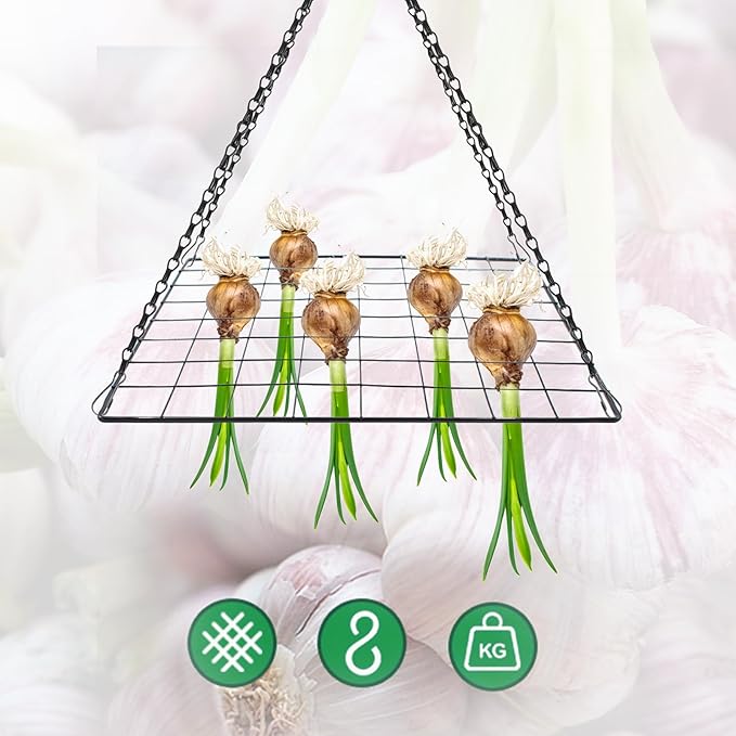 2 Set Garlic & Herb Drying Rack, Hanging Black Metal Mesh Dryer for Onions Herbs and Plants Flower Drying, Space-Saving Storage Rack for Garden, Kitchen Indoor & Outdoor Use (13.8'' x 13.8'')