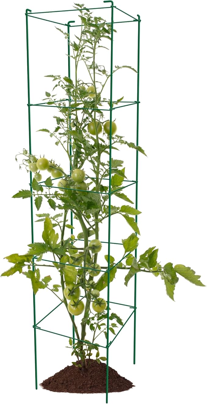 Tomato Cages 6 Packs 57 Inches (H) Plant Stand with 164 Feet Twist Ties, Heavy Duty Garden Plants Support for Tomatoes, Cucumber, and Other Climbing Plants (Green)