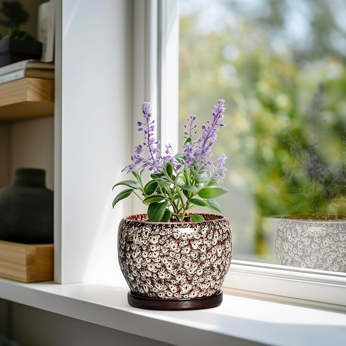 SQOWL Ceramic Plant Pots - 6 Inch Ceramic Planter for Indoor Outdoor, Small Flower Pots with Drainage Hole and Saucer, Decorative Round Planter, Home Office Decor, Plant Lover Gifts, White