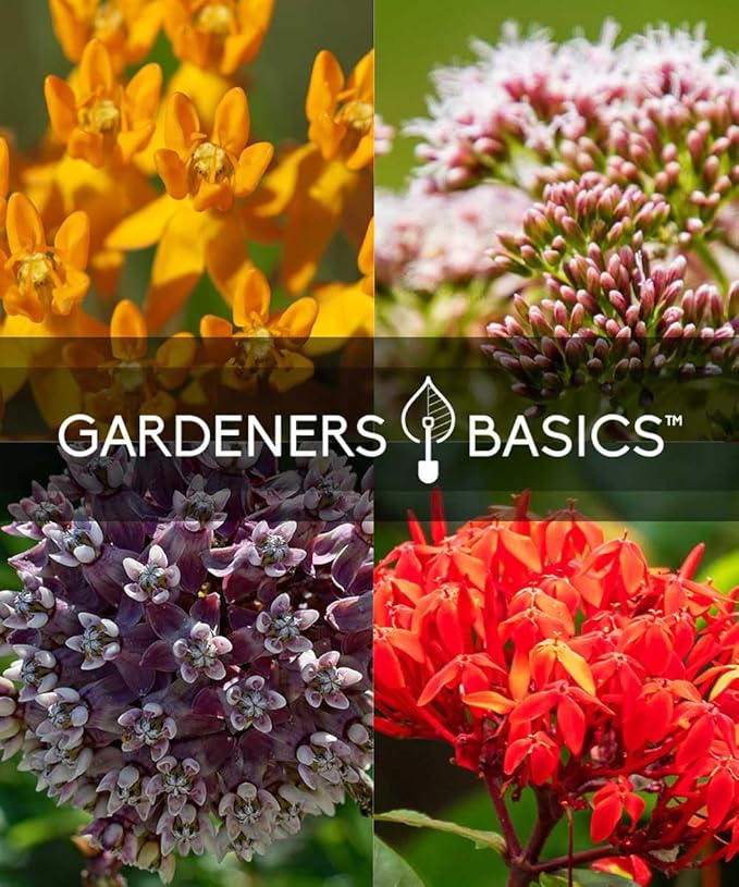 Butterfly Milkweed Seeds Starter Kit – Grow 4 Beautiful Milkweed Varieties – Non-GMO Heirloom Seeds, Complete Indoor & Outdoor Butterfly Grow Kit, Perfect for Monarch Butterflies & Pollinators