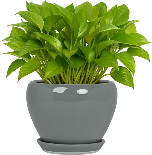 Deep Dream 6 Inch Plant Pots- Ceramic Planter Pot with Drainage Hole and Saucer, Round Flower Pot for Indoor Outdoor Succulent, Snake Plants and Cactus, Grey