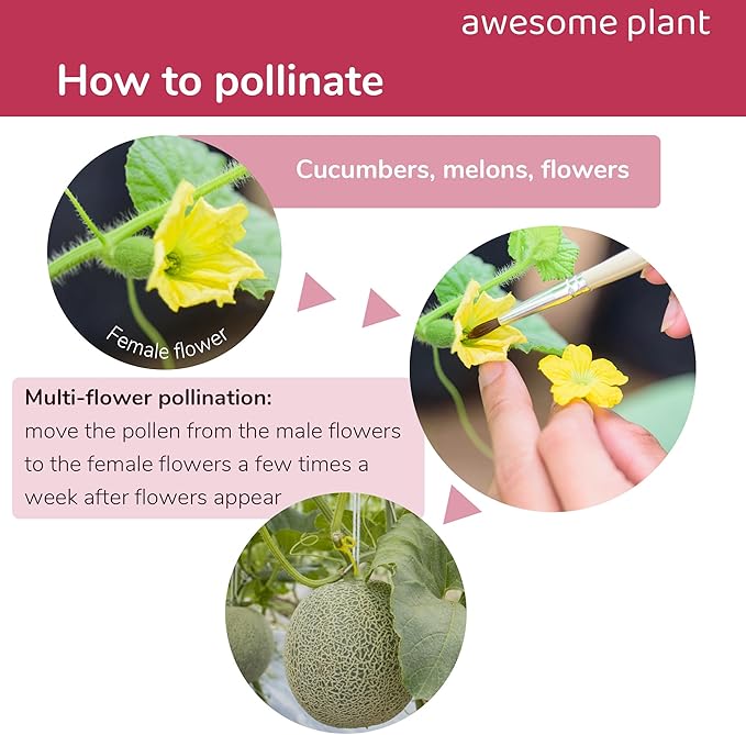 12 Pcs Pollination Brush for Indoor Hydroponic Gardens, Pollinator Tool for Aerogarden Ahopegarden and all Hydroponics Growing System Kit, Use on Tomatoes, Peppers, Strawberries and More